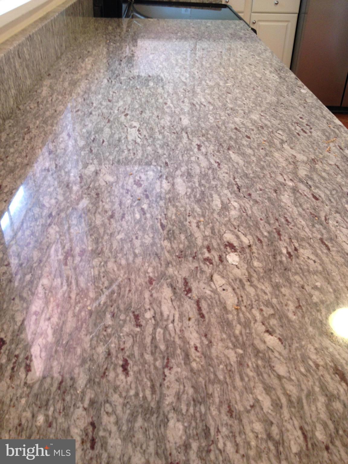 13618 Poplar Tree Road Chantilly, VA 20151 - Photo 8 of 29 Kitchen Brand new grantie