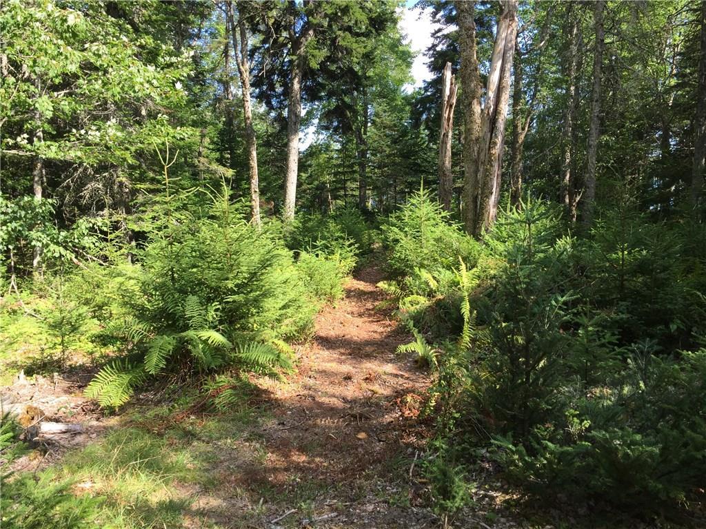 0 Ocean View Road, Unit LOT 1017 Jonesboro, ME 04648 - Photo 11 of 21 Photo