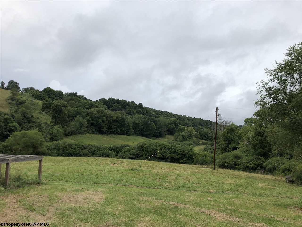 4375 Carrolton Road Volga, WV 26238 - Photo 1 of 20 Gallery Image 1