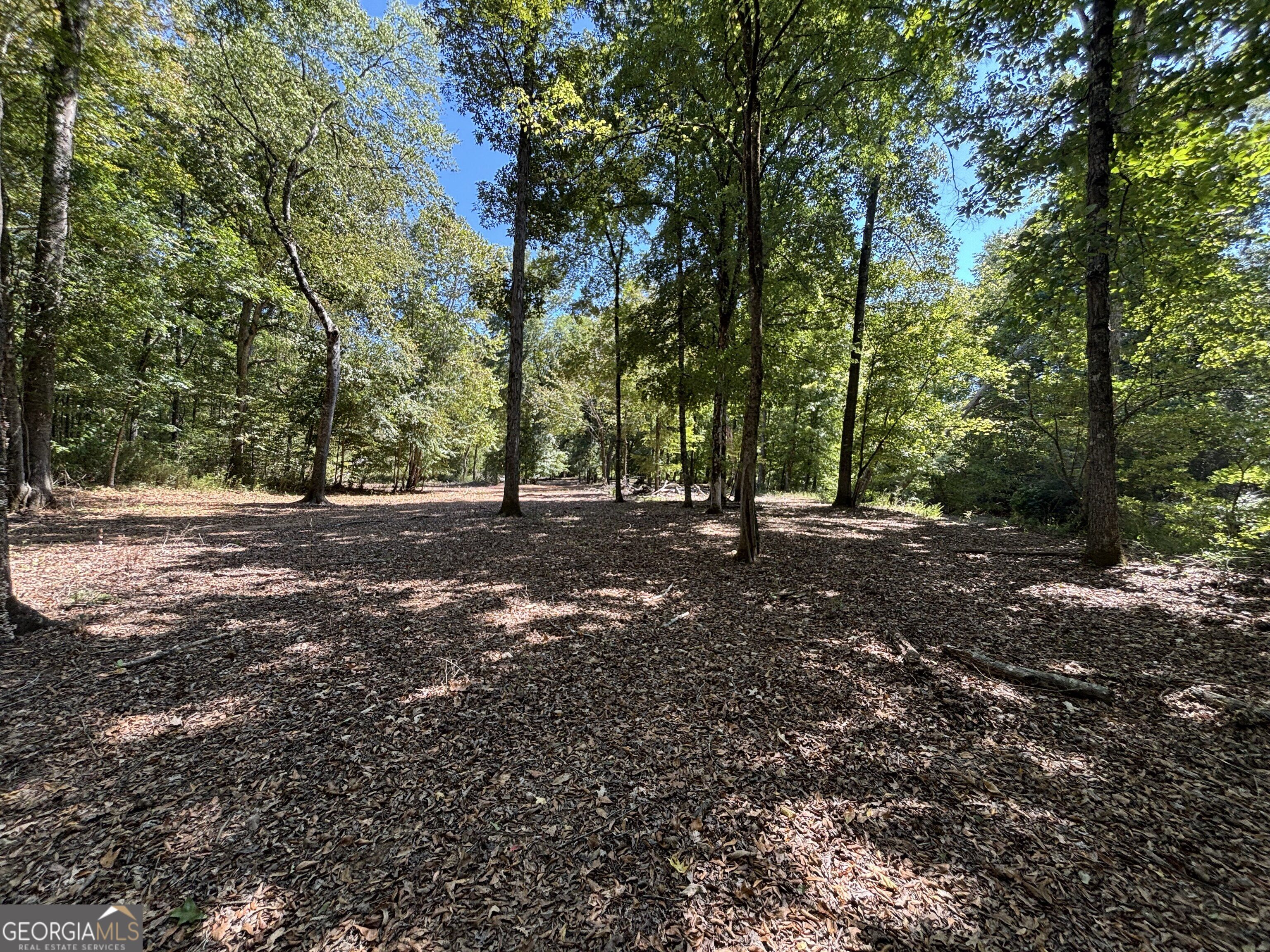 9390 Hopewell Road Lizella, GA 31052 - Photo 18 of 32 Gallery Image 18