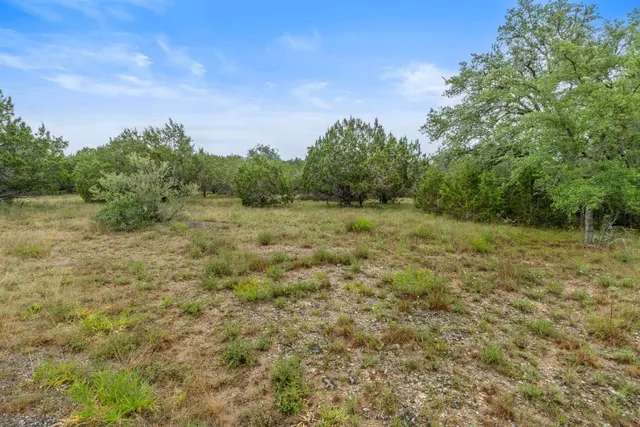 a view of a field with trees in the background