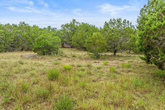 a view of a yard with trees in the background