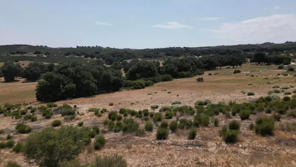 a view of a dry field