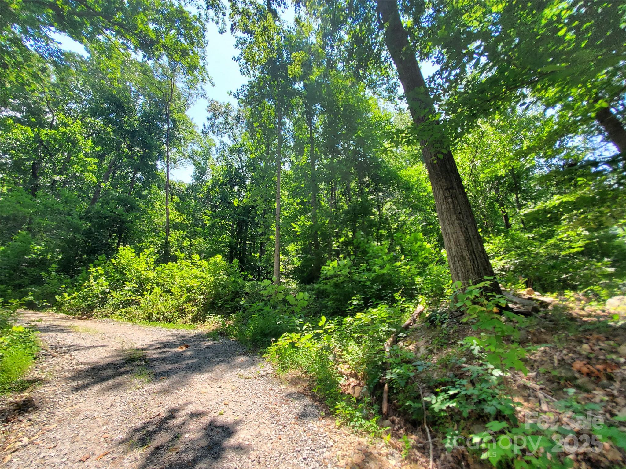 0 Green River Cove Road Saluda, NC 28773 - Photo 15 of 31 a backyard of a house with lots of trees