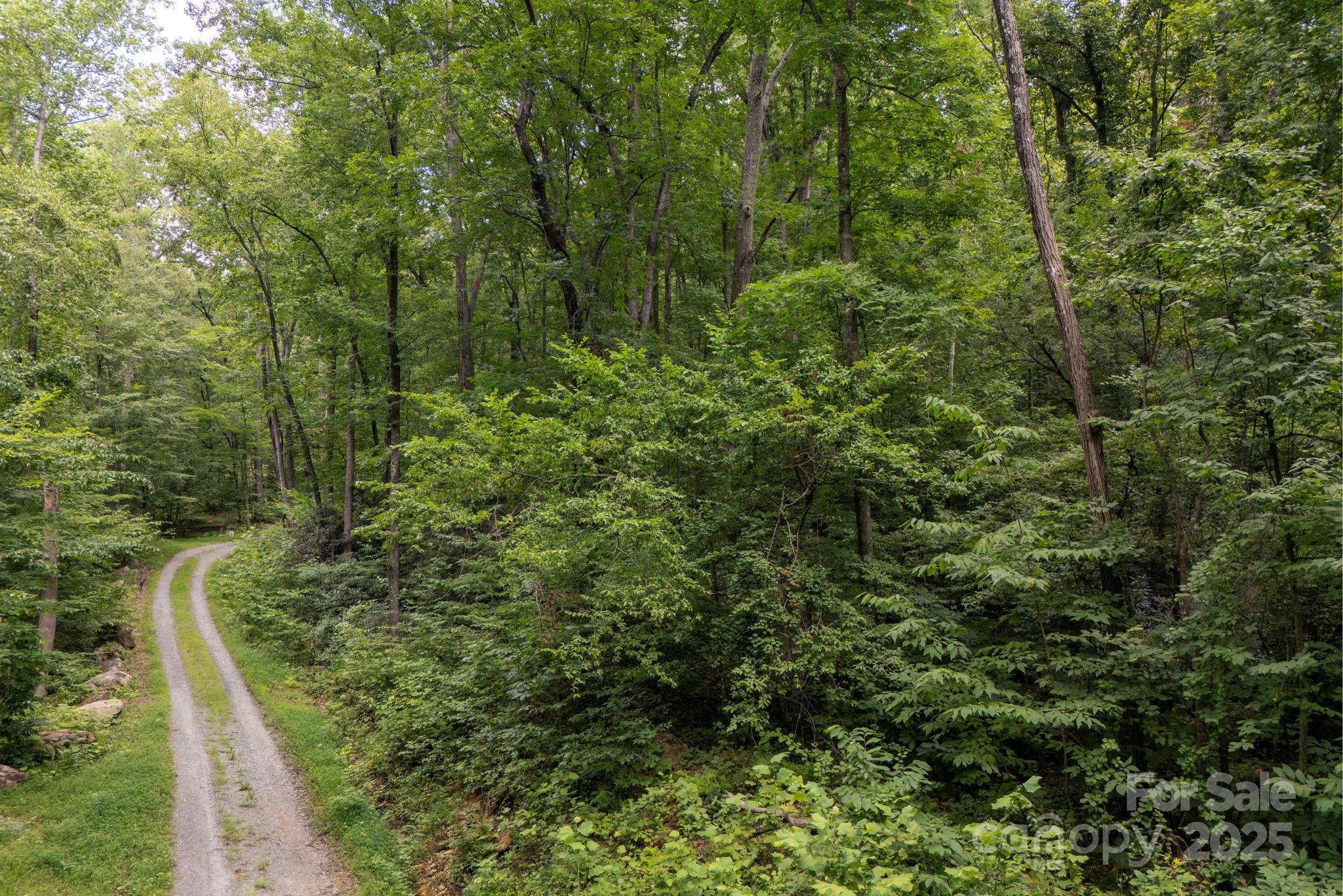 0 Green River Cove Road Saluda, NC 28773 - Photo 21 of 31 a view of a forest with a house