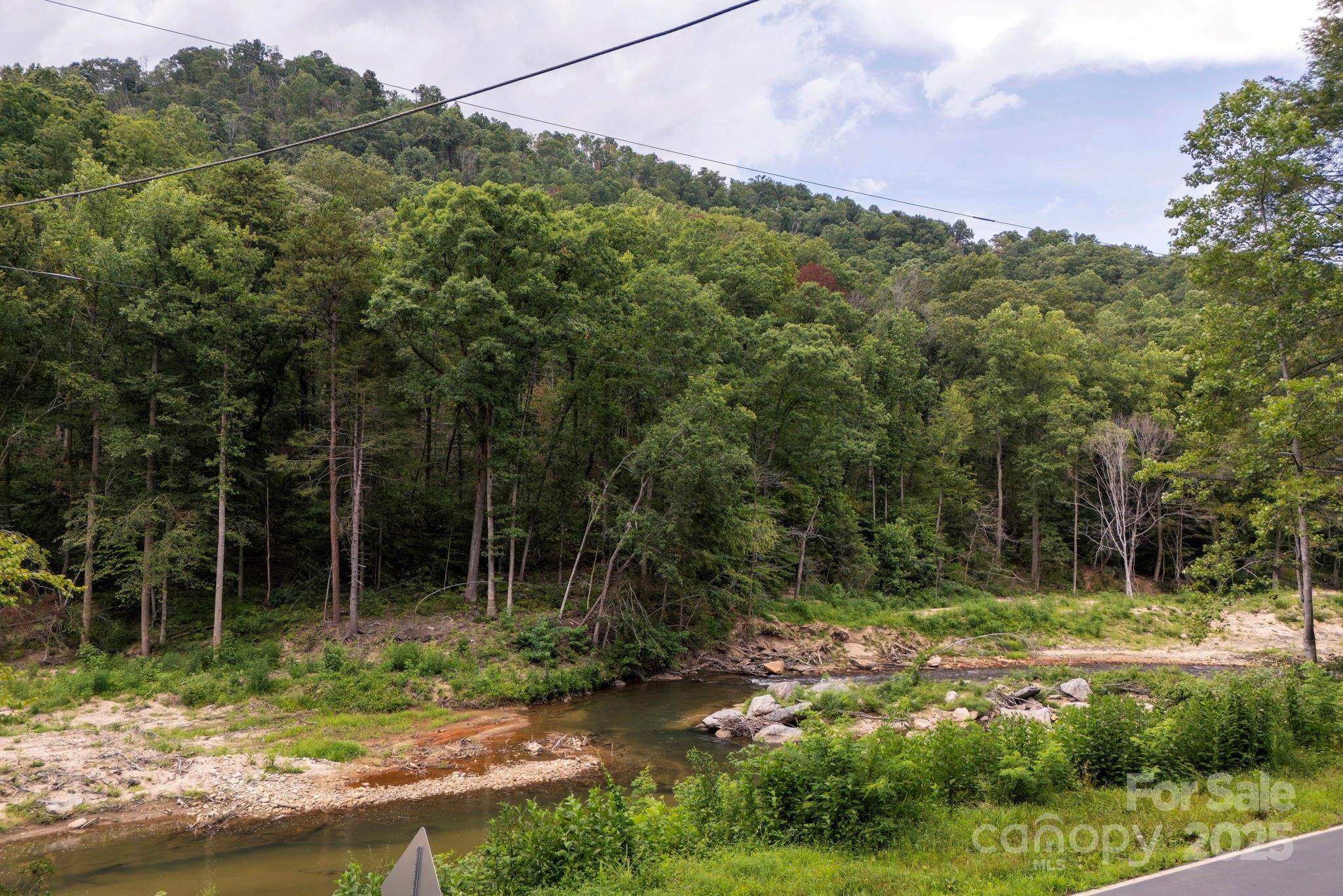 0 Green River Cove Road Saluda, NC 28773 - Photo 22 of 31 a view of a tree in a yard