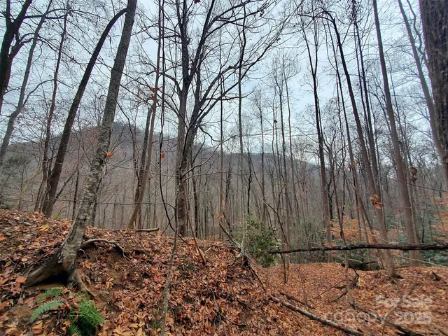 a view of a backyard of the house