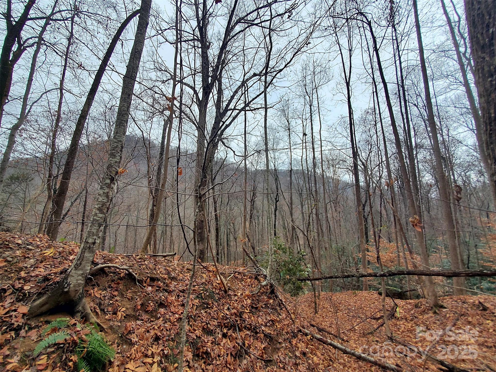 0 Green River Cove Road Saluda, NC 28773 - Photo 24 of 31 a view of a backyard of the house
