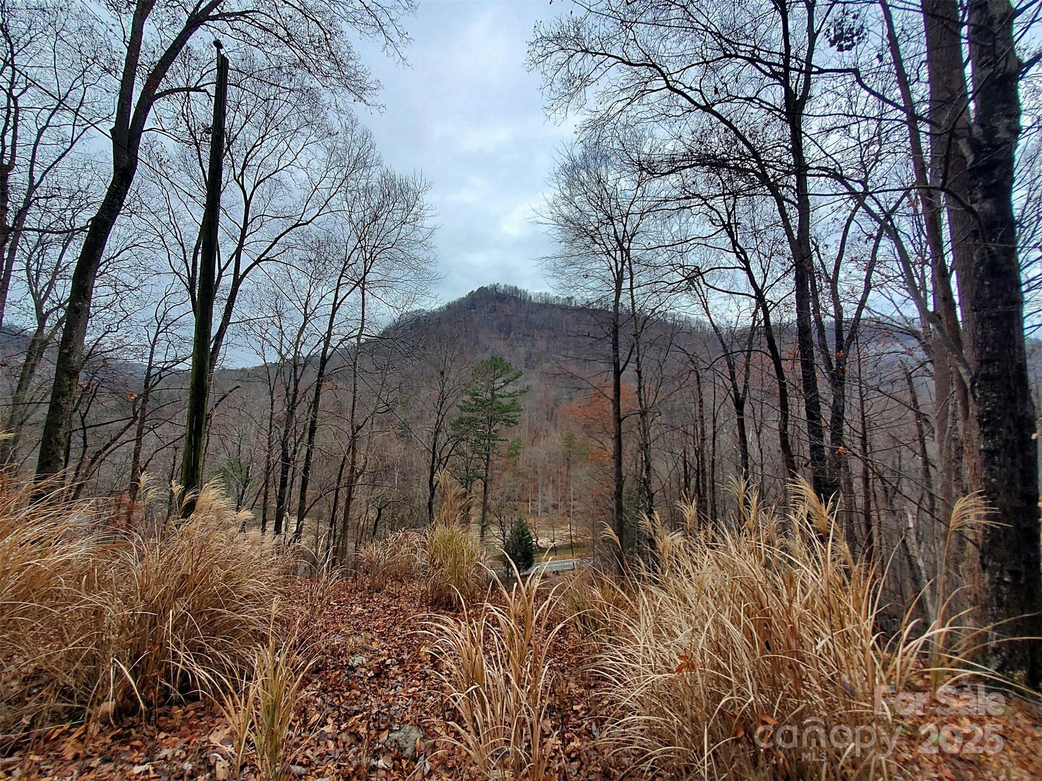 0 Green River Cove Road Saluda, NC 28773 - Photo 25 of 31 a backyard of a house with lots of green space