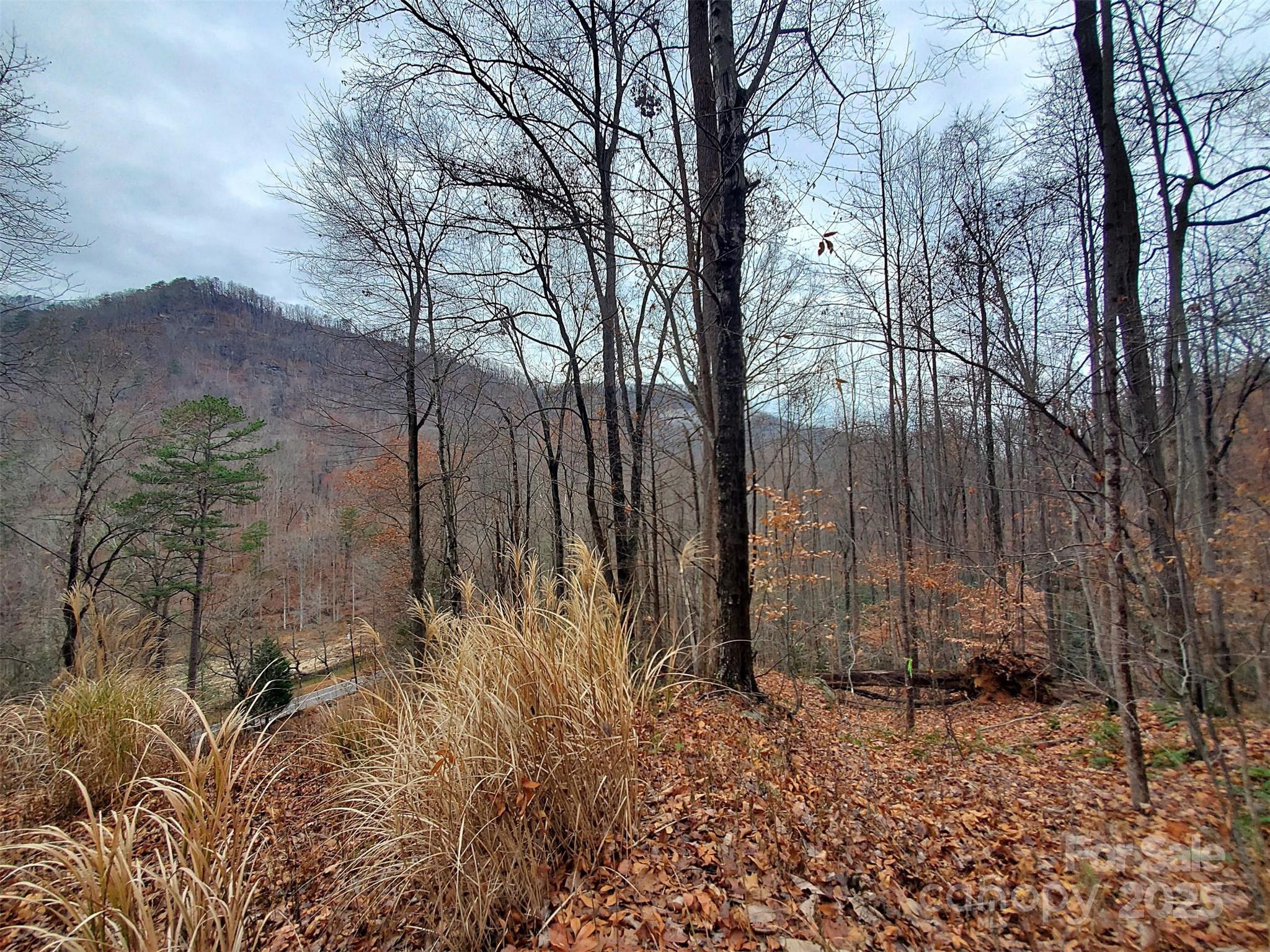 0 Green River Cove Road Saluda, NC 28773 - Photo 26 of 31 a backyard of a house with lots of green space