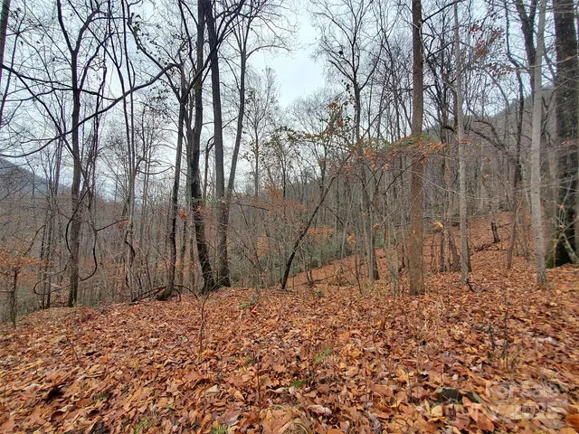 a backyard of a house with large trees