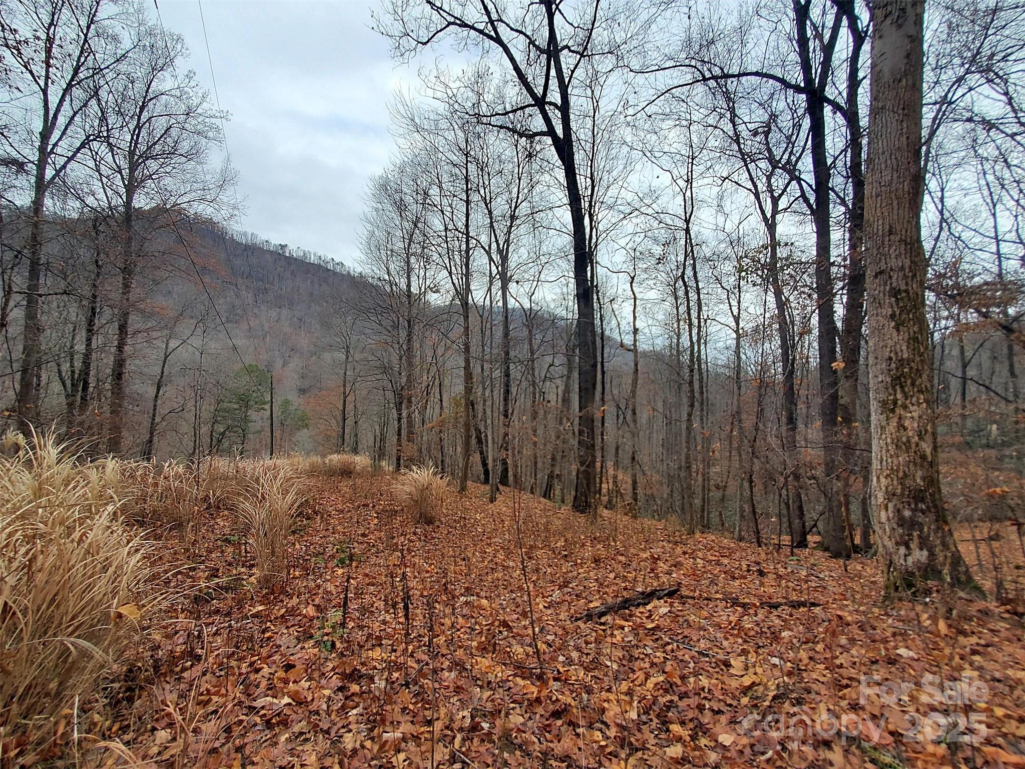 0 Green River Cove Road Saluda, NC 28773 - Photo 28 of 31 a backyard of a house with lots of green space