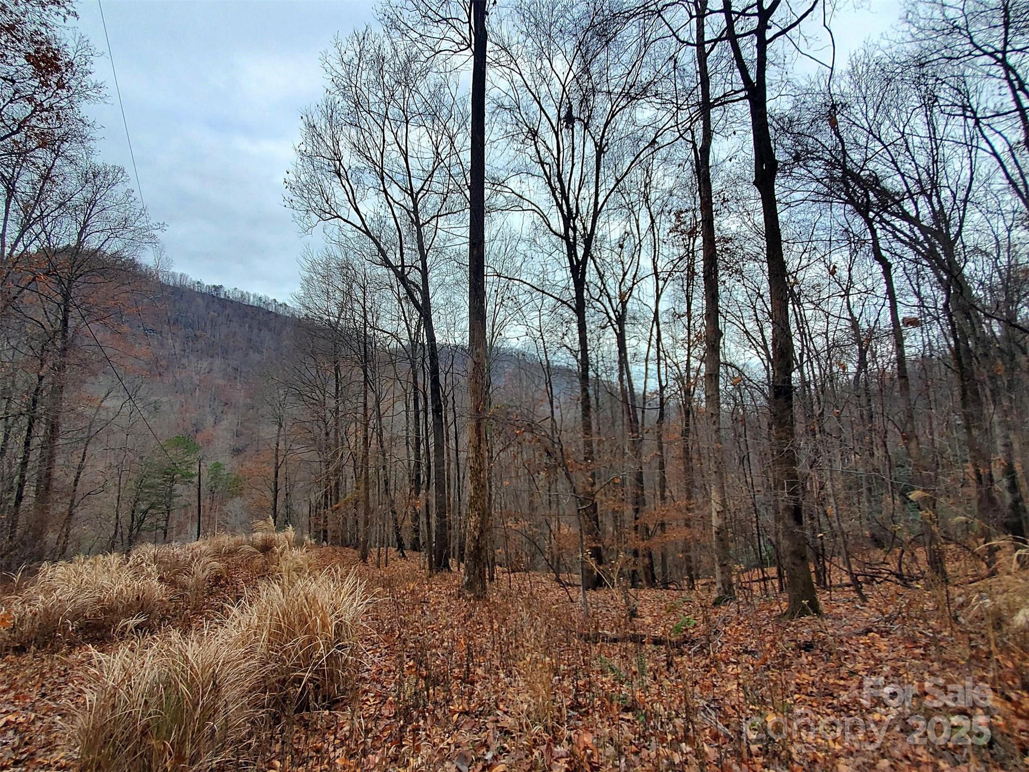 0 Green River Cove Road Saluda, NC 28773 - Photo 30 of 31 a backyard of a house with lots of green space