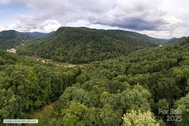 a view of a city with lush green forest