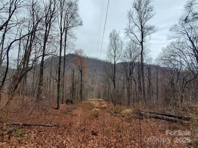 a view of a backyard of the house