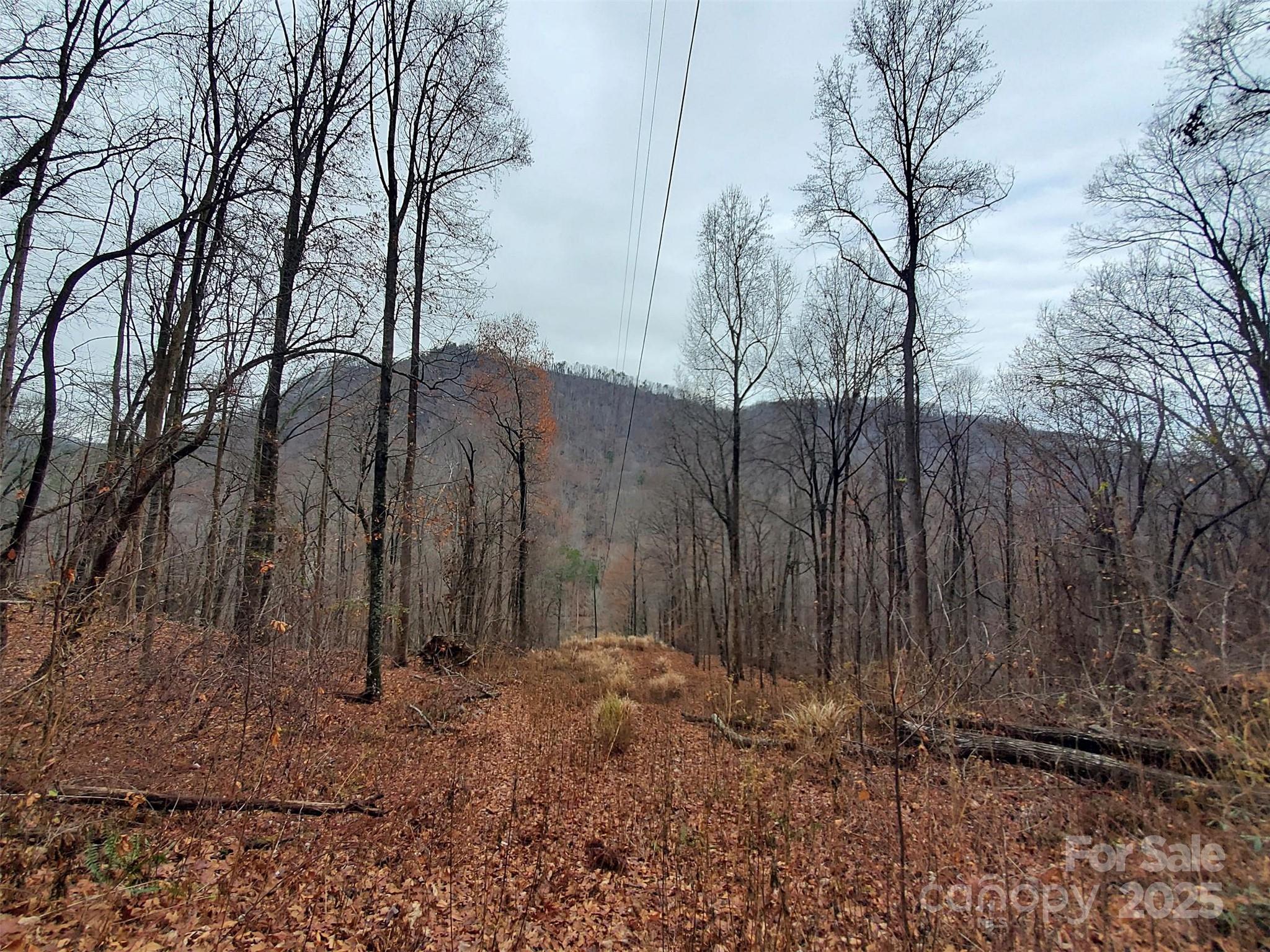 0 Green River Cove Road Saluda, NC 28773 - Photo 31 of 31 a view of a backyard of the house
