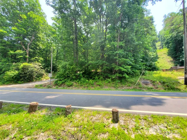 a view of a yard with potted plants