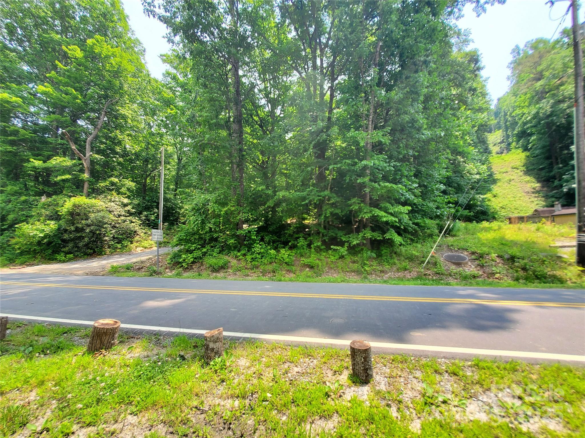 0 Green River Cove Road Saluda, NC 28773 - Photo 5 of 31 a view of a yard with potted plants