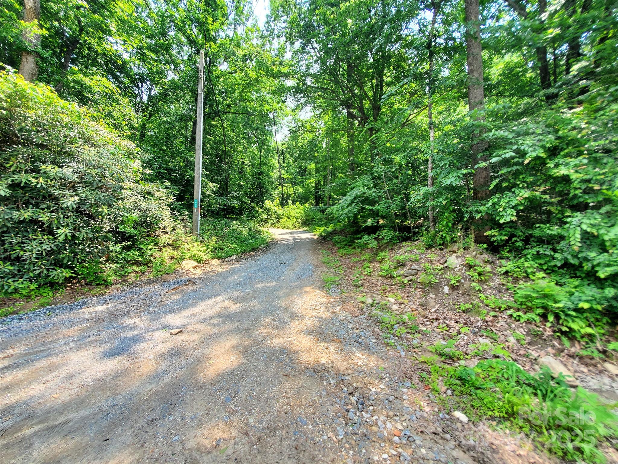 0 Green River Cove Road Saluda, NC 28773 - Photo 6 of 31 a view of a forest with trees in the background