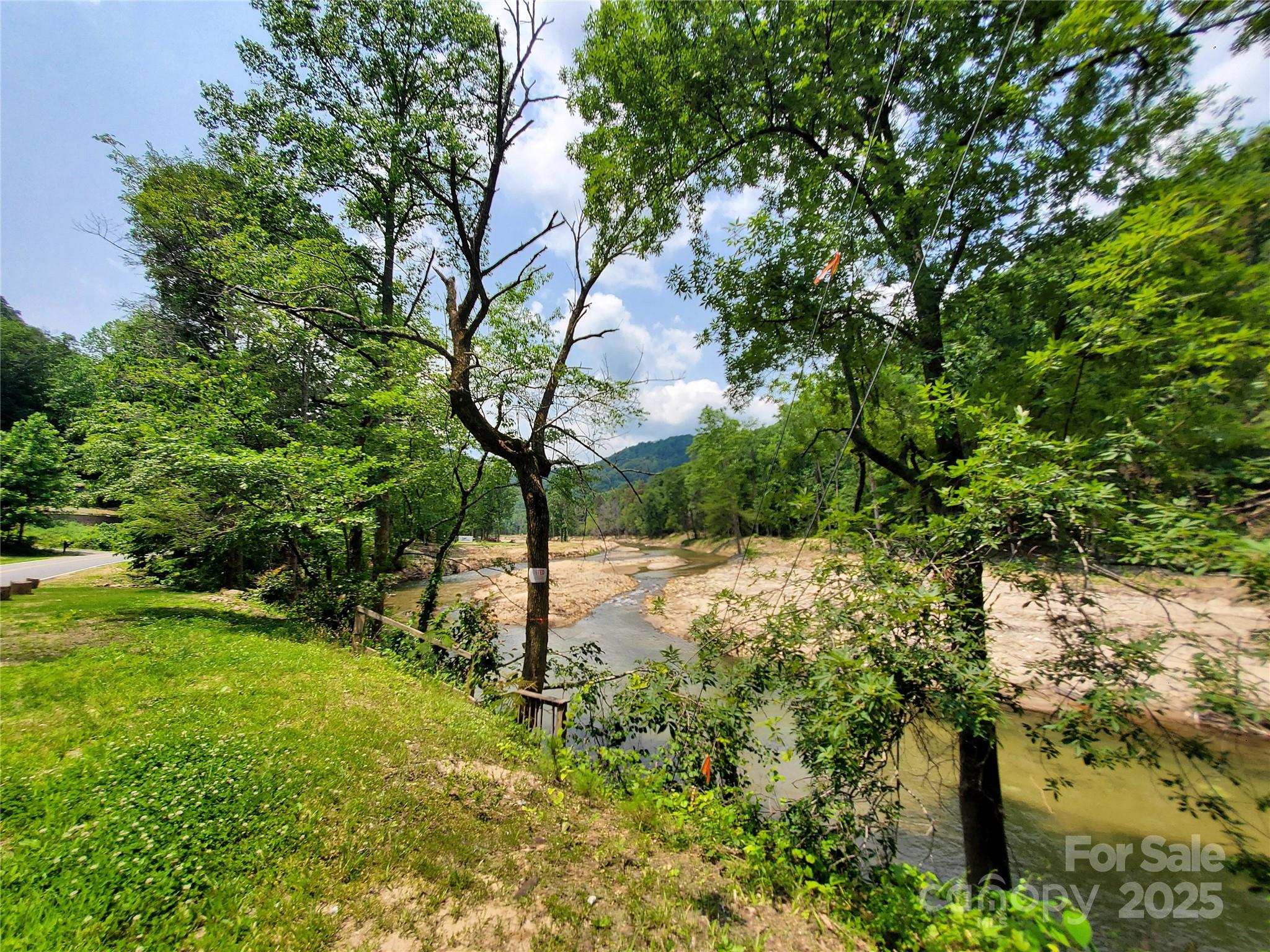 0 Green River Cove Road Saluda, NC 28773 - Photo 8 of 31 a view of a yard with plants and large trees