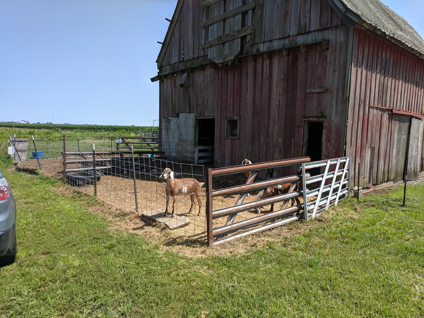 6479 South 2500E Road St. Anne, IL 60964 - Photo 12 of 47