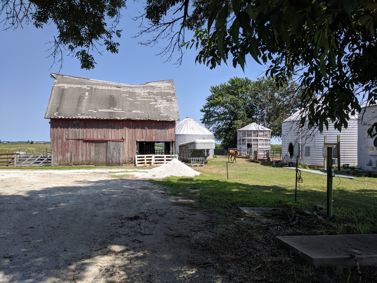 6479 South 2500E Road St. Anne, IL 60964 - Photo 14 of 47