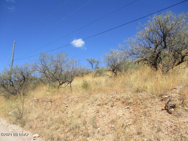 967 Corte Arboles, Unit 60 Rio Rico, AZ 85648 - Photo 3 of 6 IMG_3642