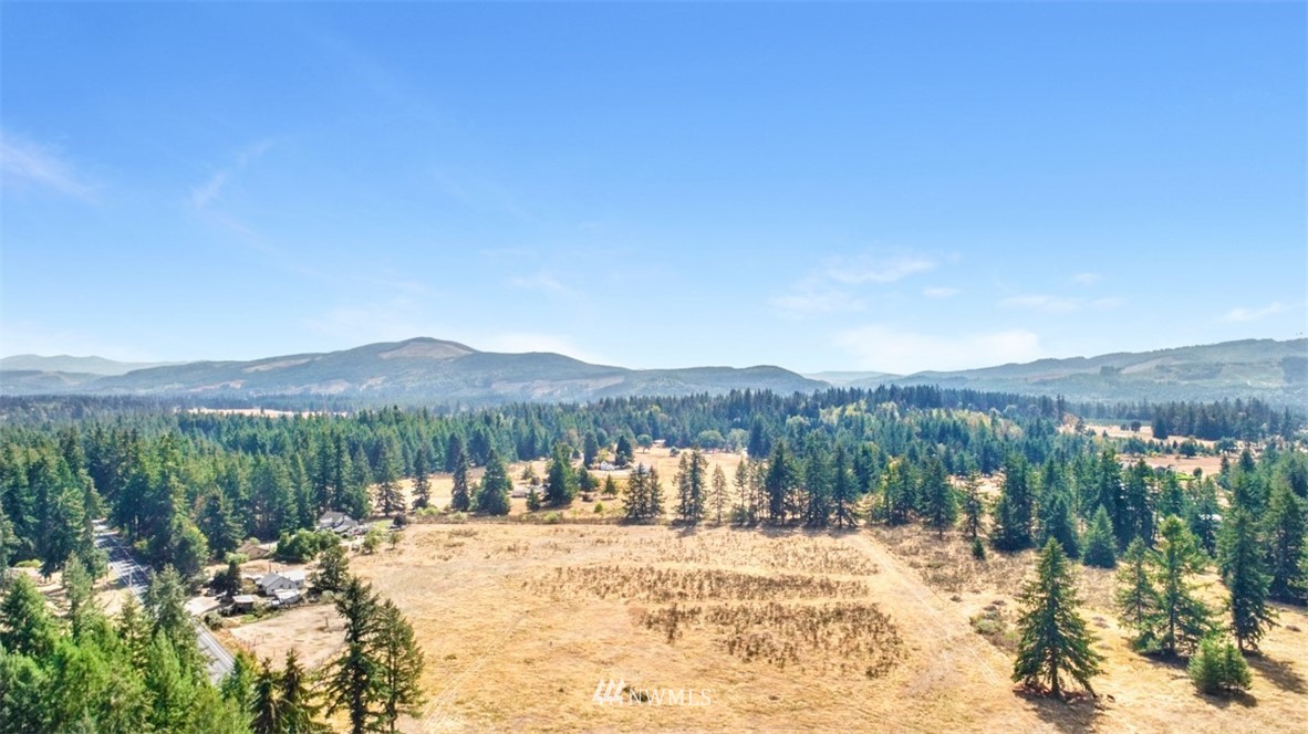 13405 Rainier Road Southeast Rainier, WA 98576 - Photo 1 of 8 Gallery Image 1