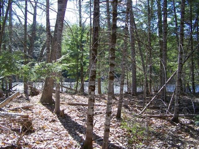 Tbd Tbd River Road Mattawamkeag, ME 04459 - Photo 11 of 11 Photo