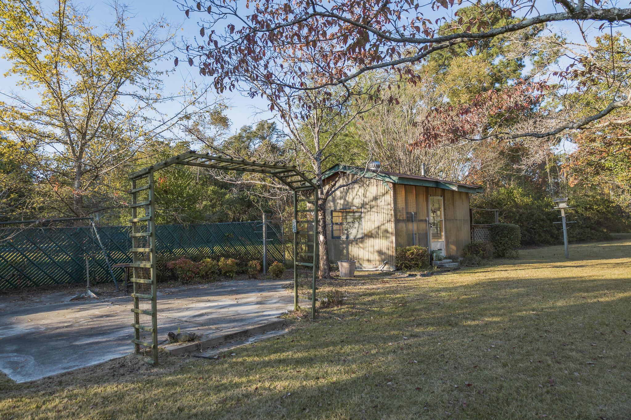 341 Azalea Avenue Millen, GA 30442 - Photo 11 of 65 II4A4659