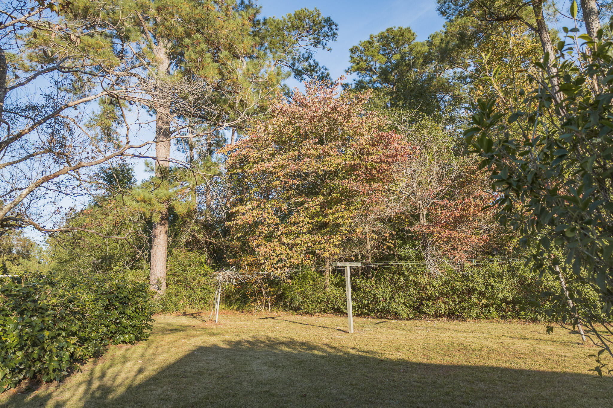 341 Azalea Avenue Millen, GA 30442 - Photo 13 of 65 II4A4665