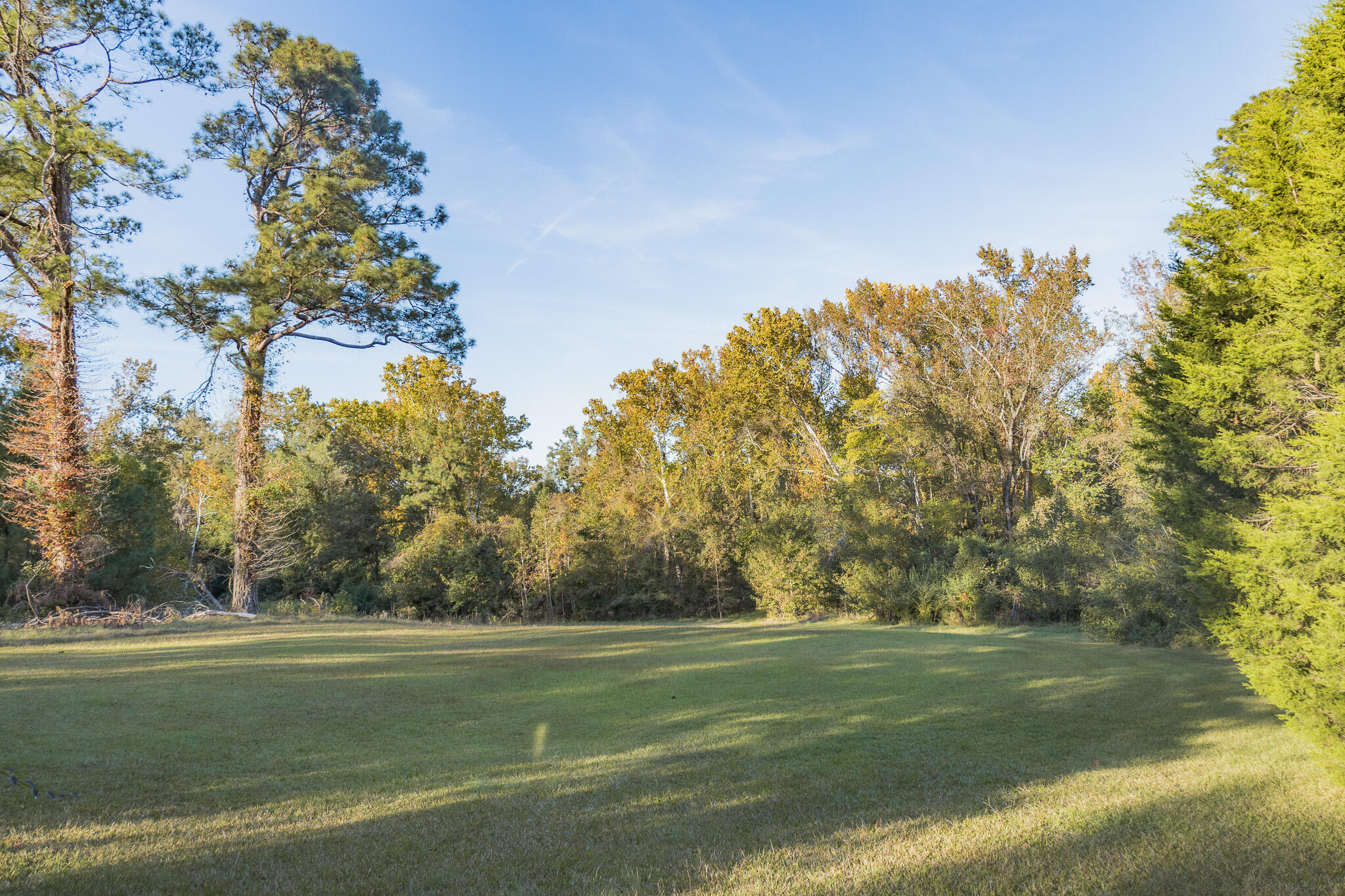 341 Azalea Avenue Millen, GA 30442 - Photo 4 of 65 II4A4643