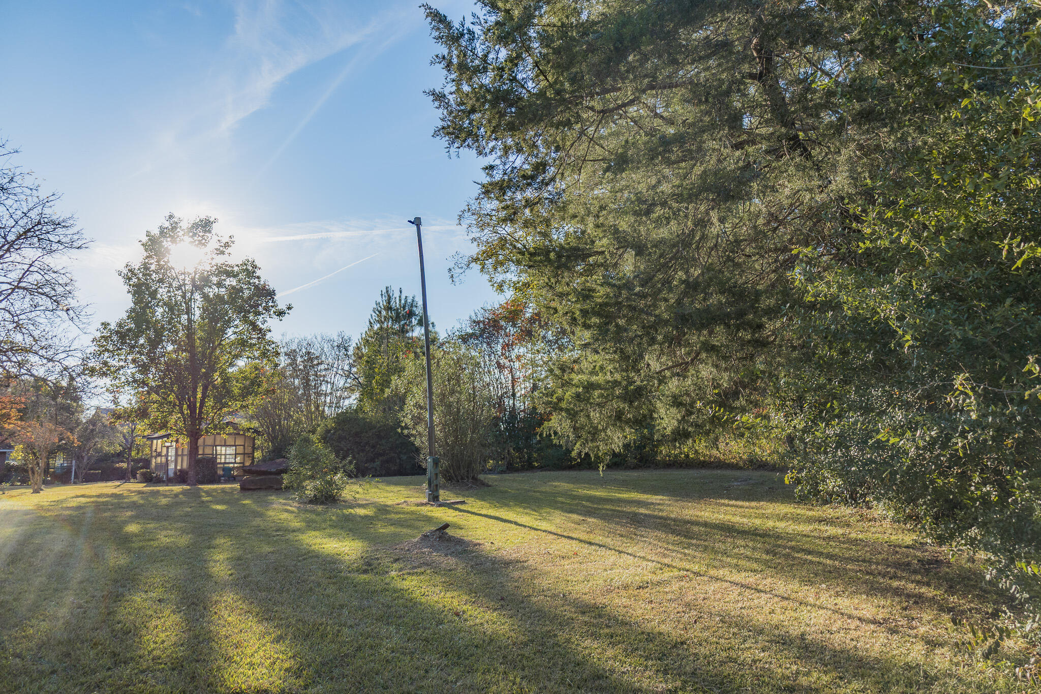 341 Azalea Avenue Millen, GA 30442 - Photo 5 of 65 II4A4648