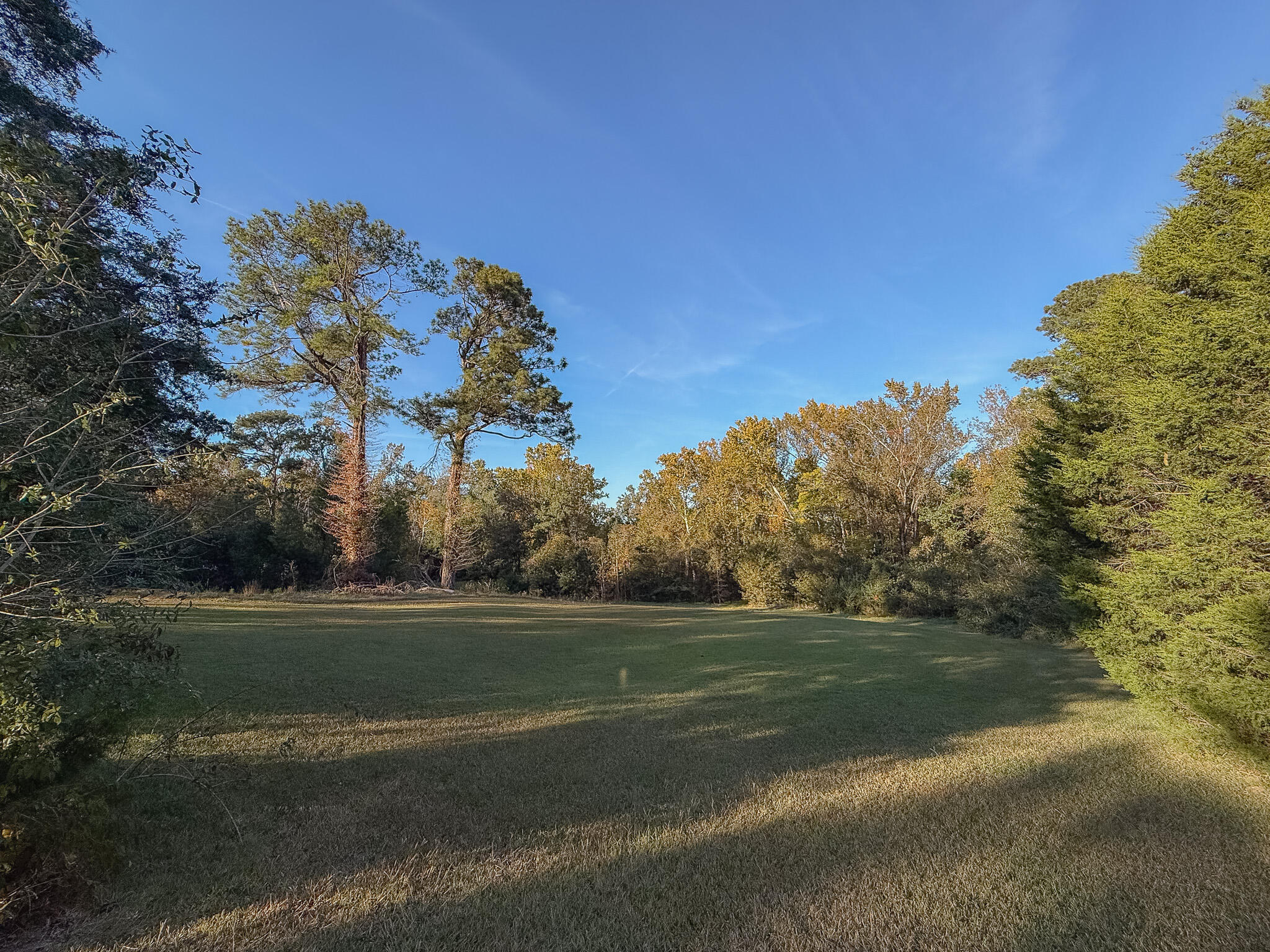 341 Azalea Avenue Millen, GA 30442 - Photo 55 of 65 IMG_3339