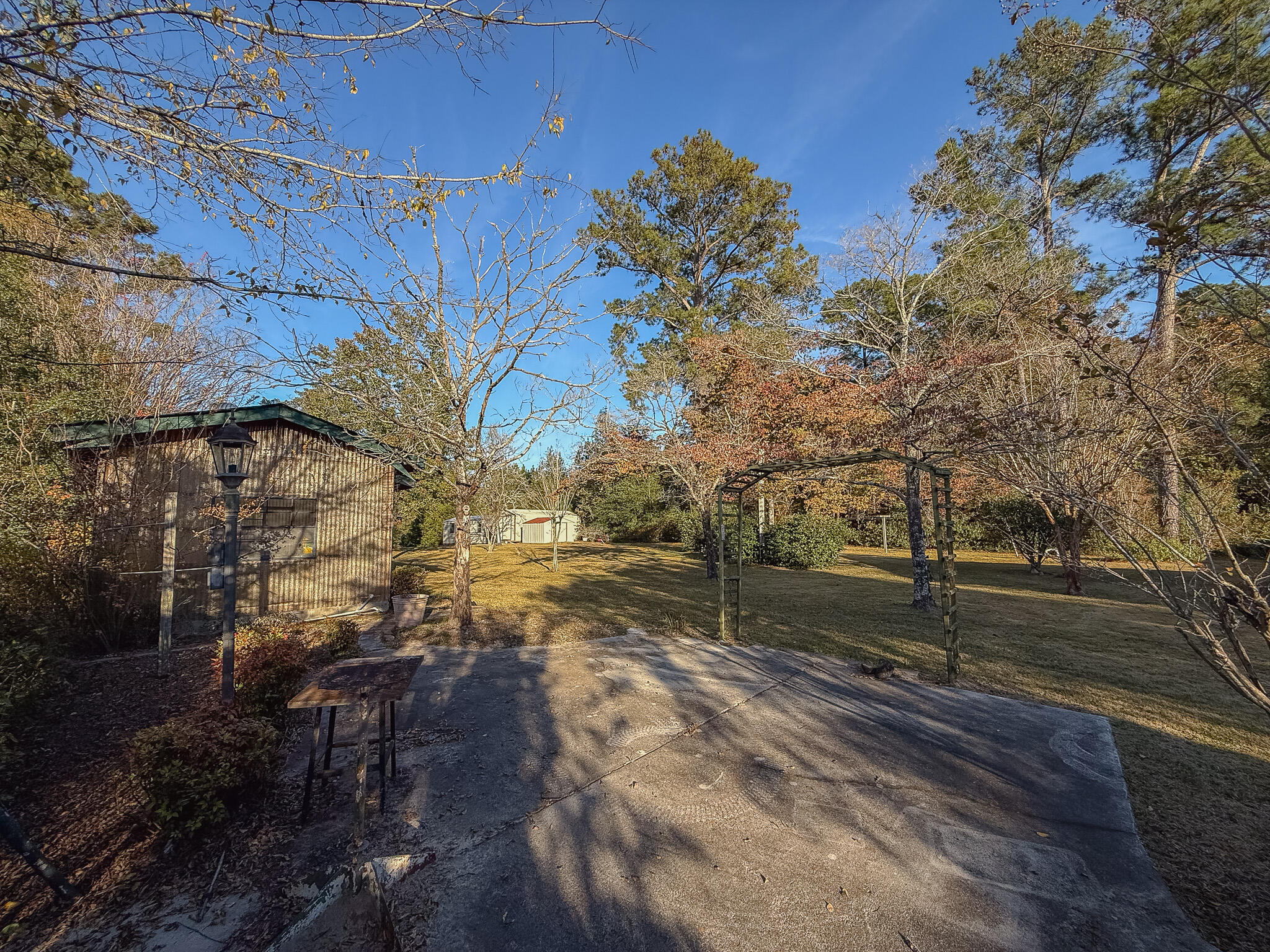 341 Azalea Avenue Millen, GA 30442 - Photo 58 of 65 IMG_3350