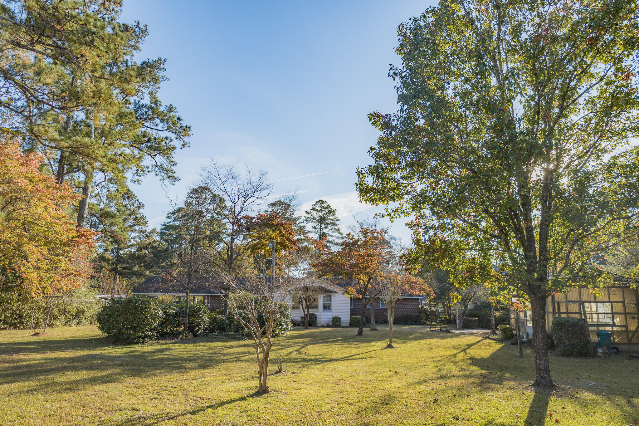341 Azalea Avenue Millen, GA 30442 - Photo 6 of 65 II4A4650