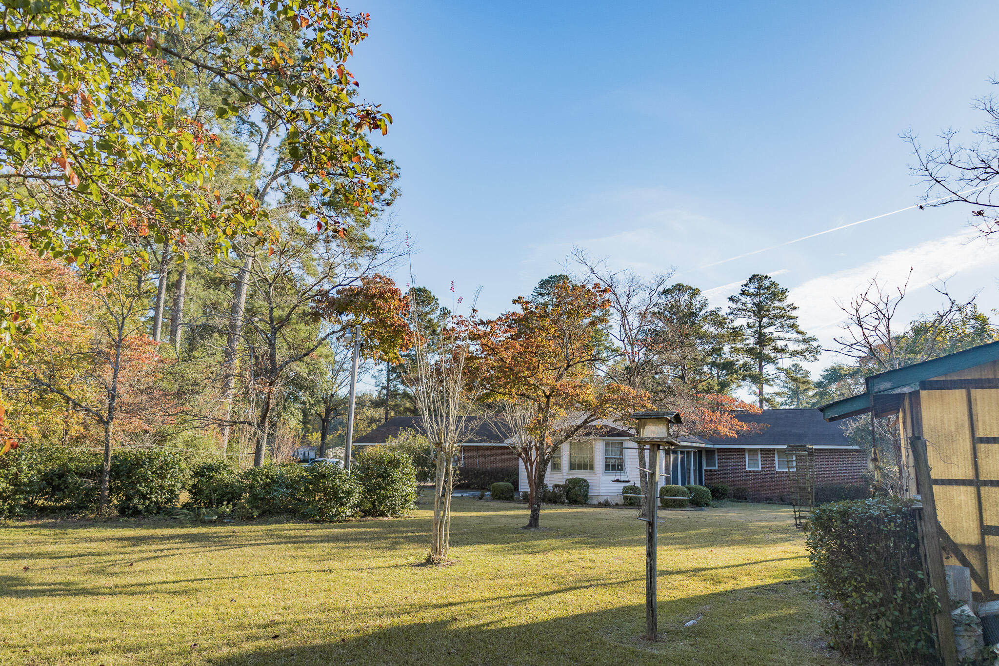 341 Azalea Avenue Millen, GA 30442 - Photo 7 of 65 II4A4652