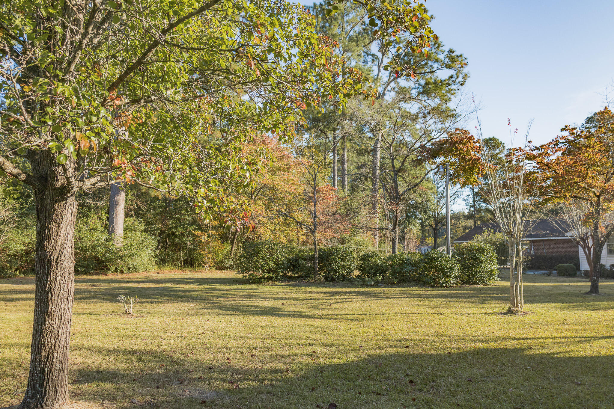 341 Azalea Avenue Millen, GA 30442 - Photo 8 of 65 II4A4654