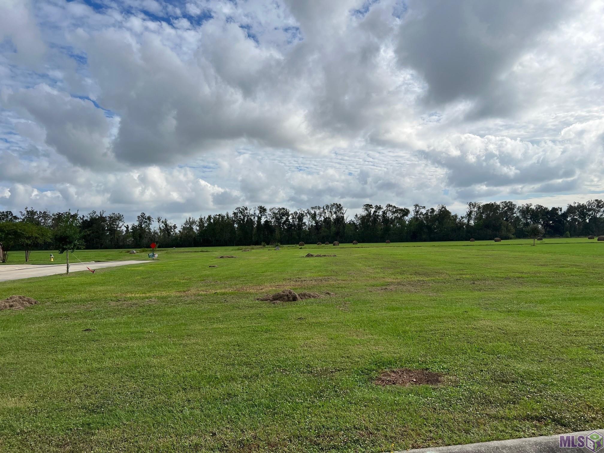 258 Rue Richard Gray, LA 70359 - Photo 3 of 4