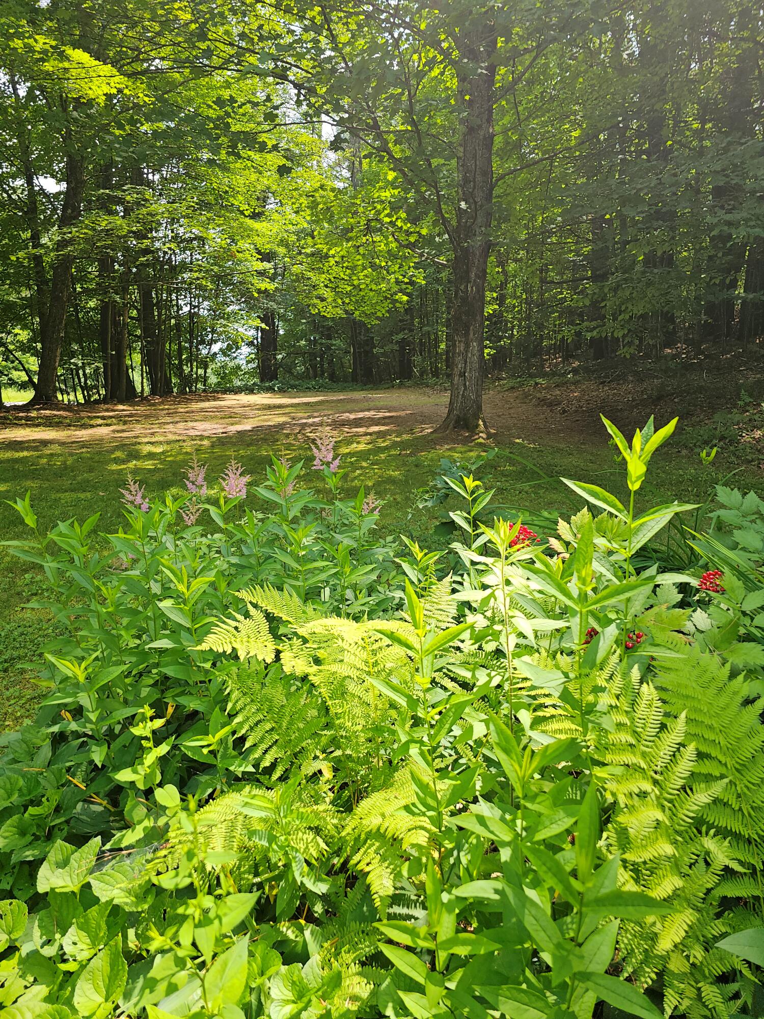 733 Waterville Road Skowhegan, ME 04976 - Photo 9 of 75 20230708_130604