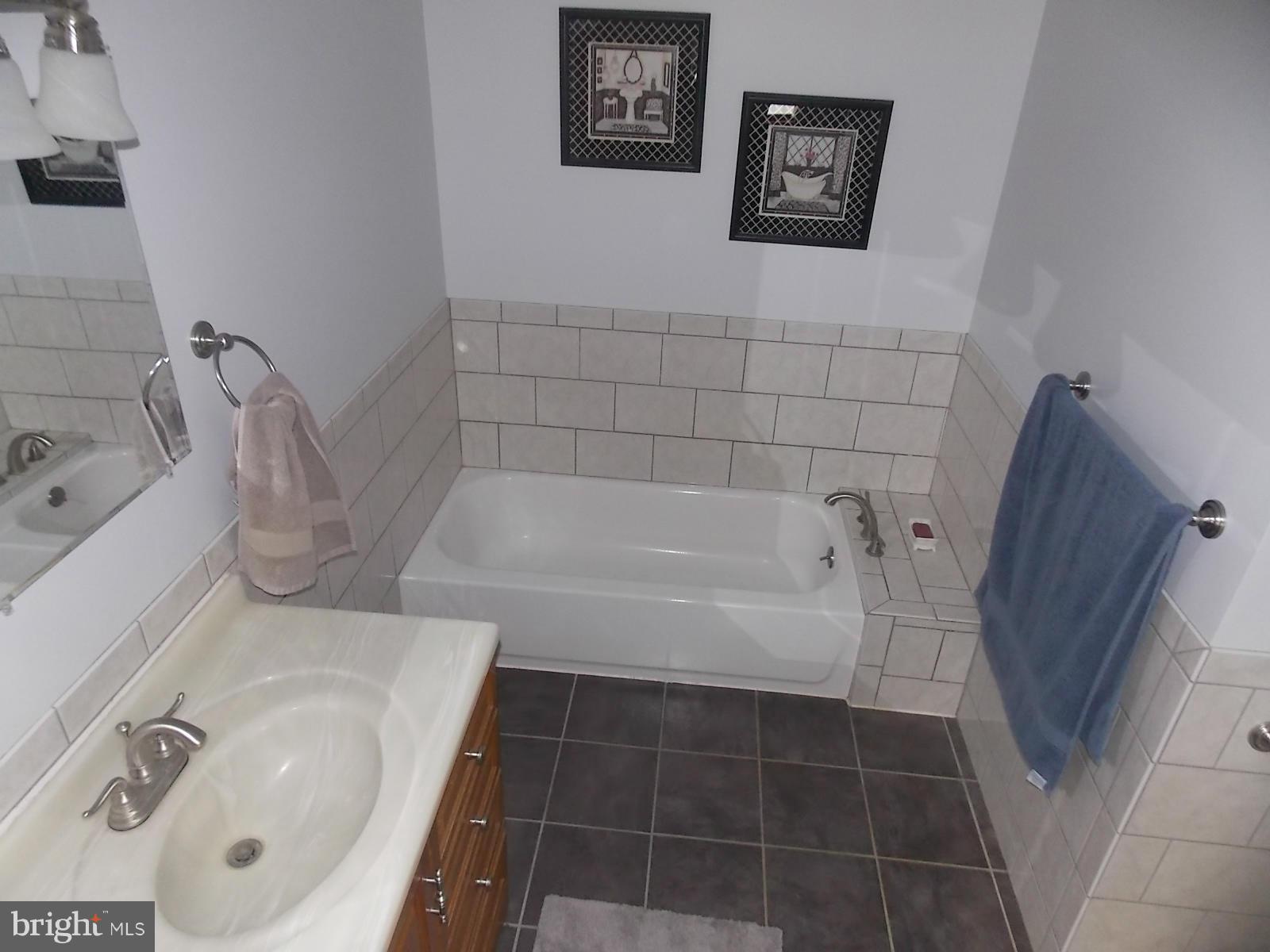 496 Elk Mills Road Elkton, MD 21921 - Photo 7 of 19 Bath (Master)