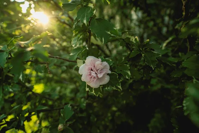 $838,847 | 3813 Utah Terrace, Wellsville, KS 66092