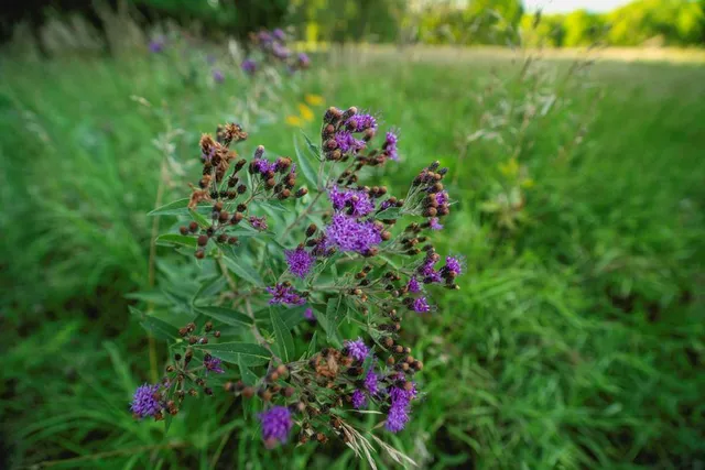 $838,847 | 3813 Utah Terrace, Wellsville, KS 66092