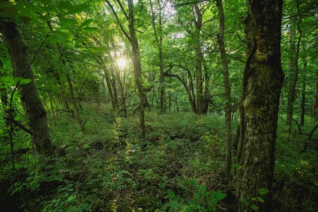 $838,847 | 3813 Utah Terrace, Wellsville, KS 66092