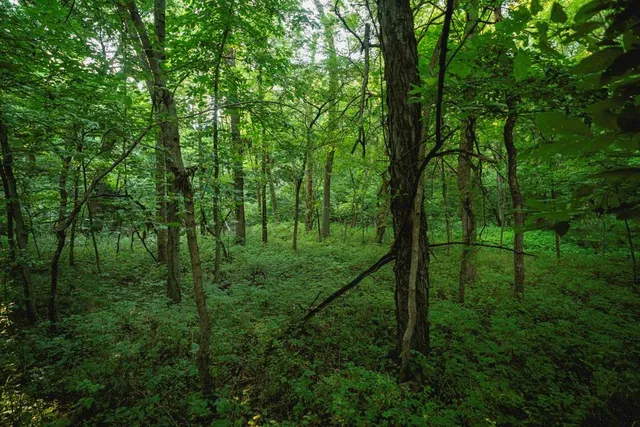 $838,847 | 3813 Utah Terrace, Wellsville, KS 66092