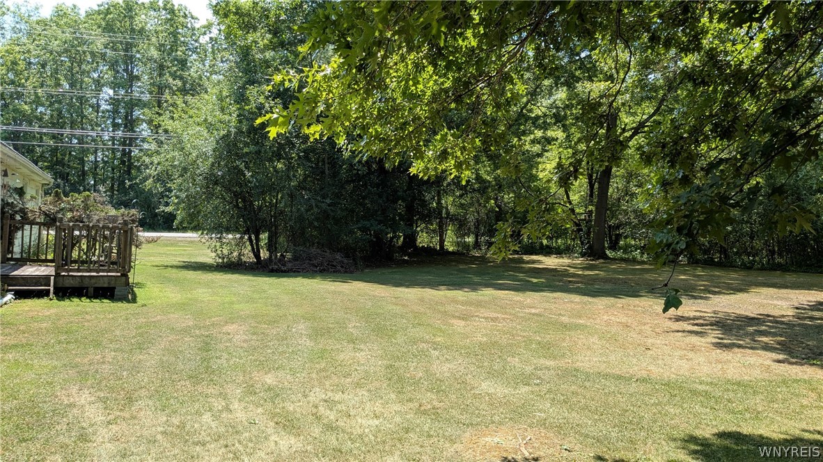 3287 Whitehaven Road Grand Island, NY 14072 - Photo 46 of 50 Summer 2025 picture
