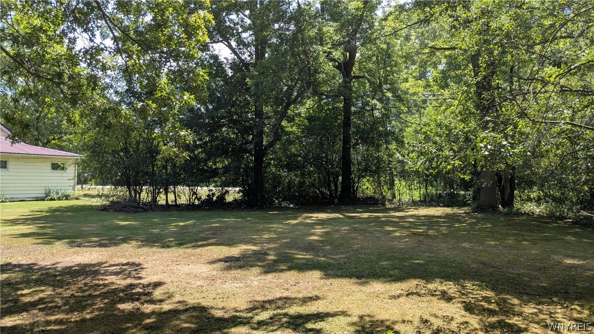 3287 Whitehaven Road Grand Island, NY 14072 - Photo 49 of 50 Summer 2025 picture
