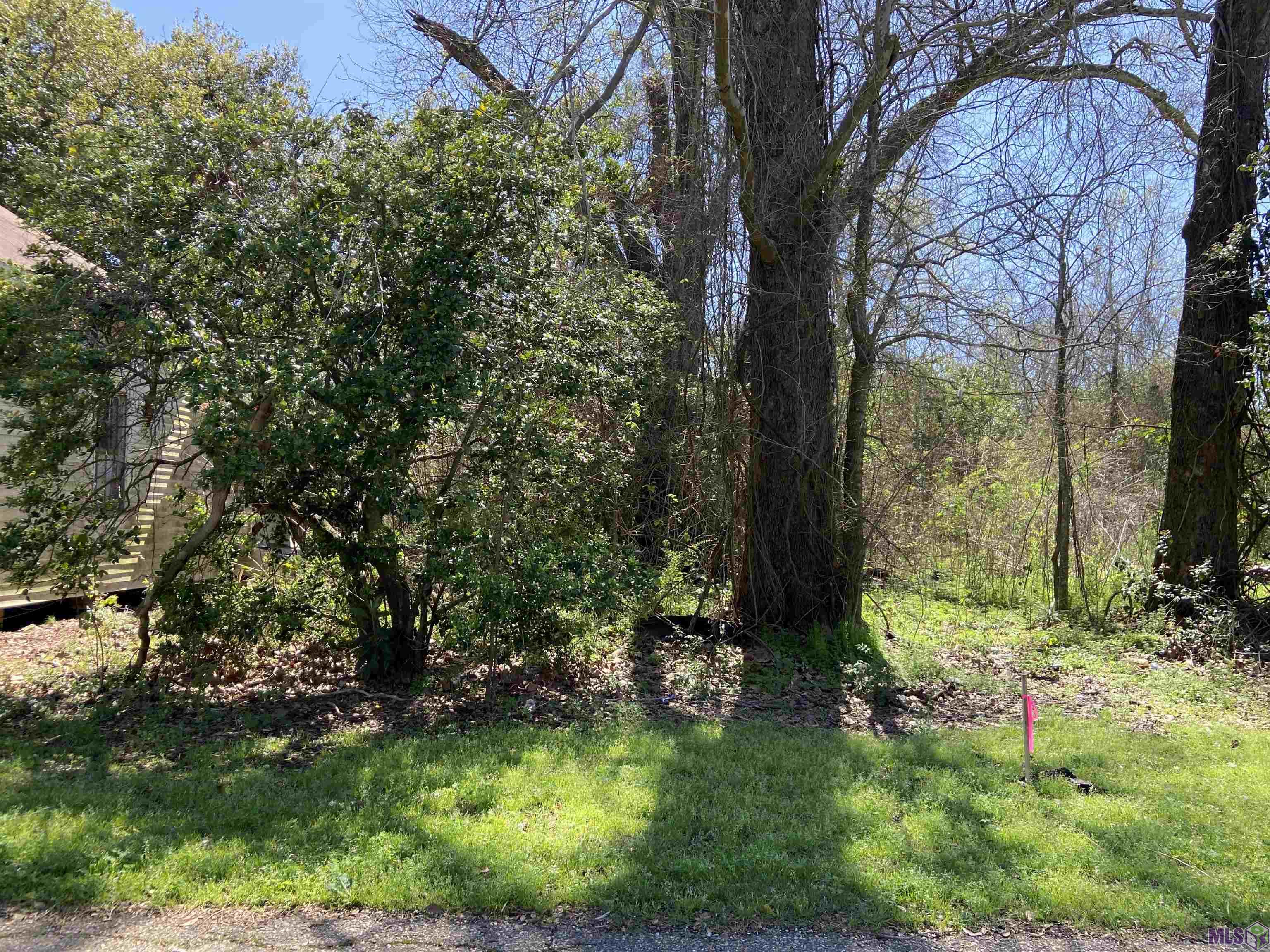 4431 Main Street Addis, LA 70710 - Photo 3 of 5 Gallery Image 3