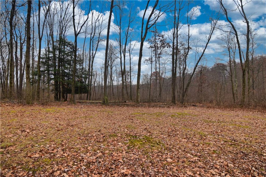 3172 Old Rte 8 Polk, PA 16342 - Photo 3 of 18 a backyard of a house with lots of green space