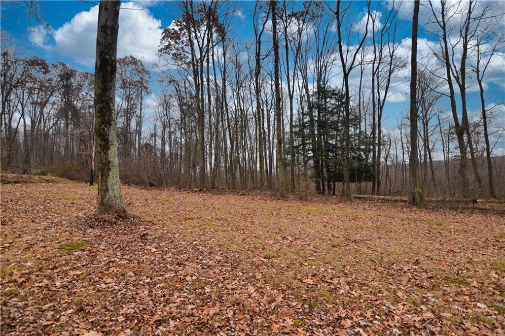 3172 Old Rte 8 Polk, PA 16342 - Photo 4 of 18 a backyard of a house with a large tree